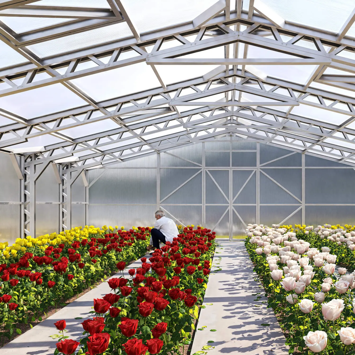 Storm-Resistant MAKAN 800 Greenhouse (64–160 m²) - Image 3