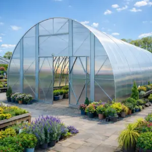 Premium Tunnel Greenhouse L (50-210m²)