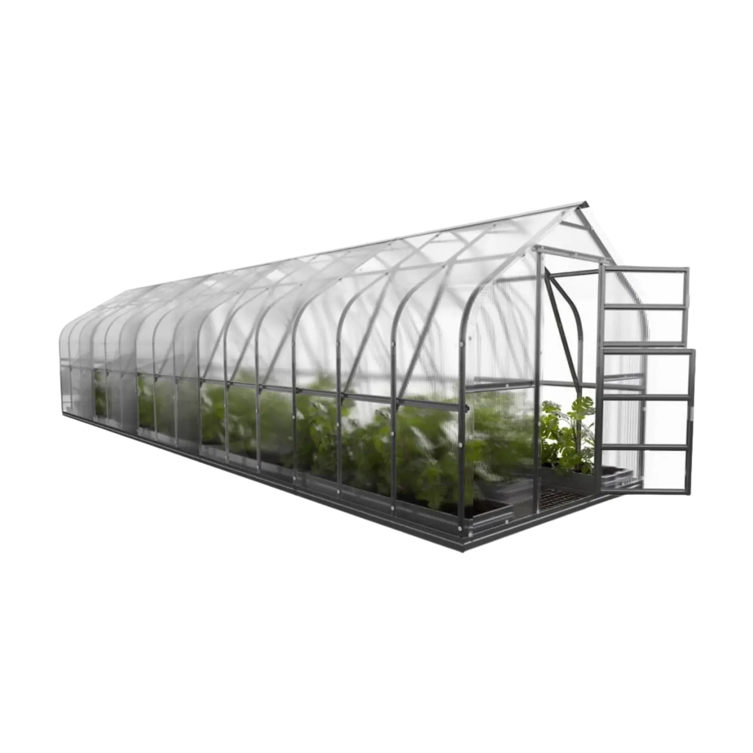 Standard 250 Greenhouse (5-30m²) - Image 7