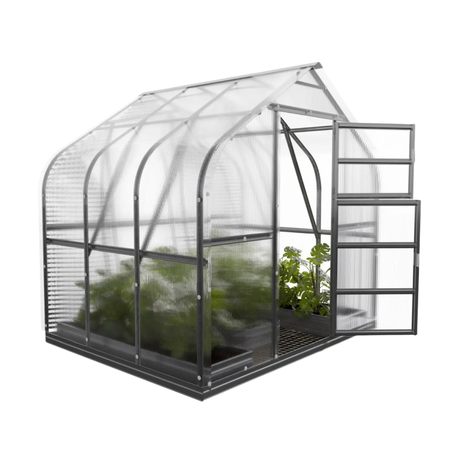 Standard 250 Greenhouse (5-30m²) - Image 4