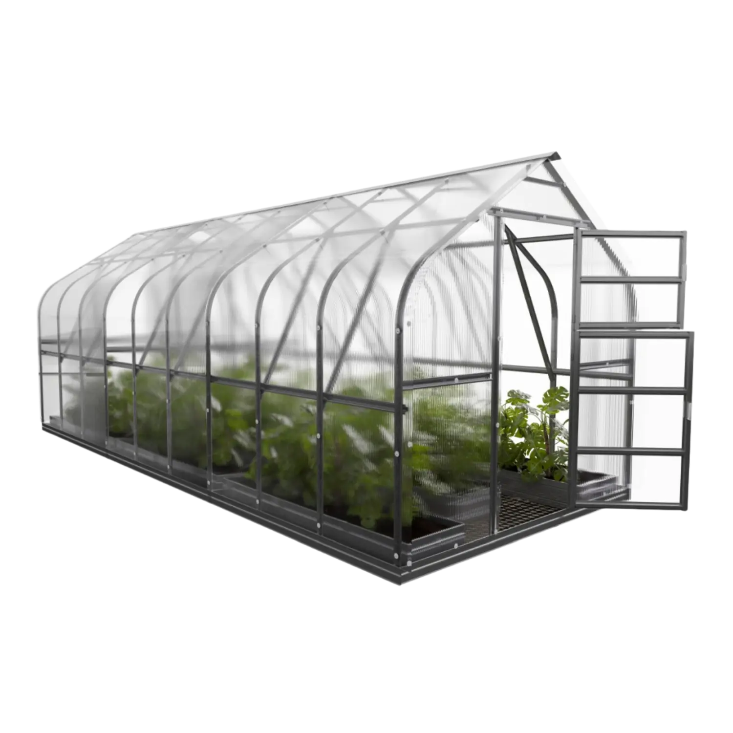 Standard 250 Greenhouse (5-30m²) - Image 5