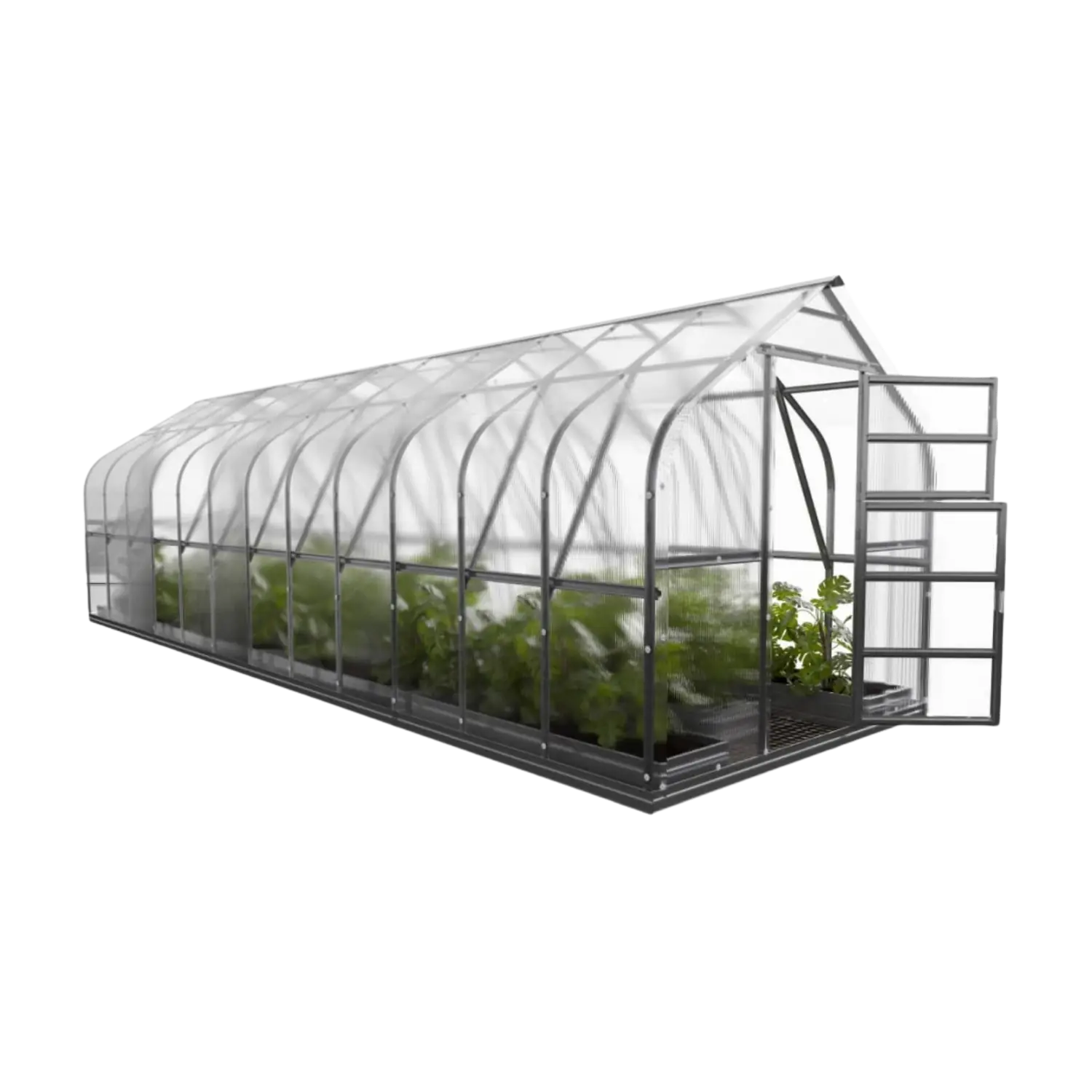 Standard 250 Greenhouse (5-30m²) - Image 6