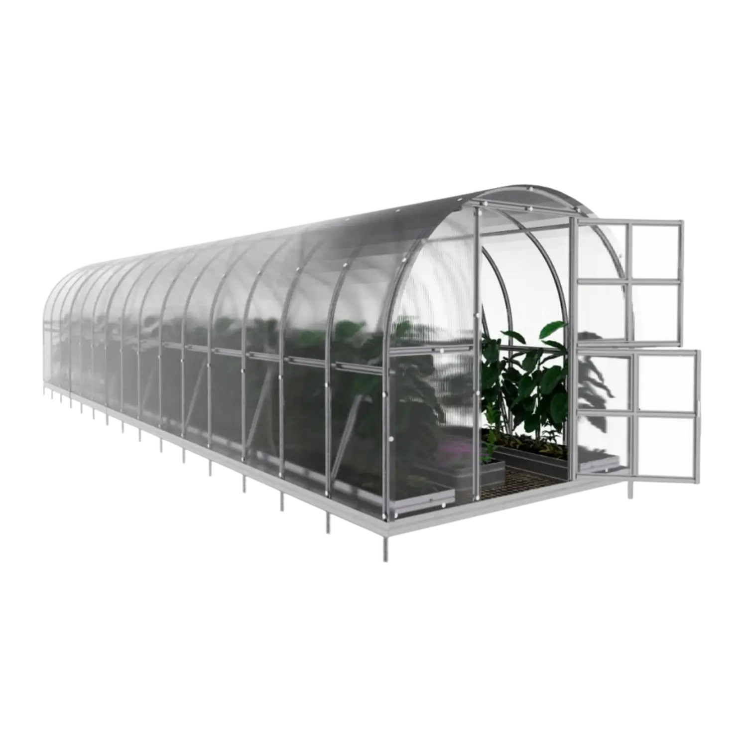 Classic Hoop Greenhouse 300 (6–36 m²) - Image 6