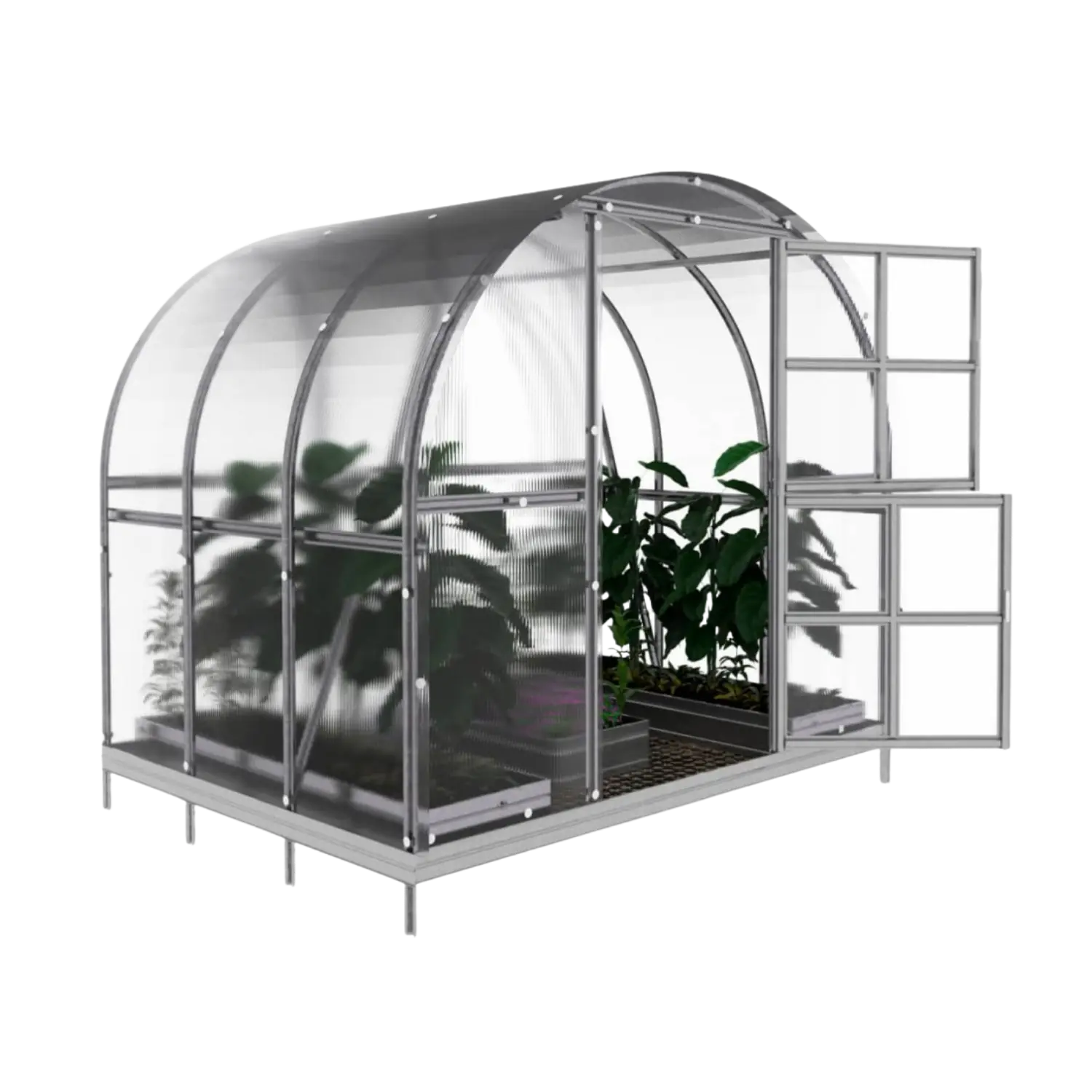 Classic Hoop Greenhouse 300 (6–36 m²) - Image 2