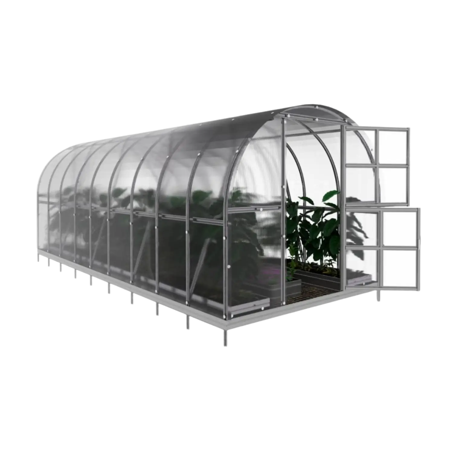 Classic Hoop Greenhouse 300 (6–36 m²) - Image 4