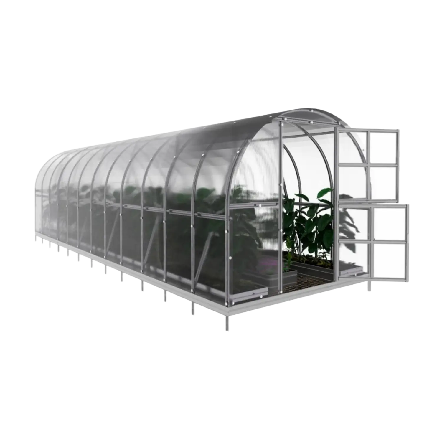 Classic Hoop Greenhouse 300 (6–36 m²) - Image 5