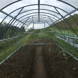 Extension for Classic 300 Greenhouse