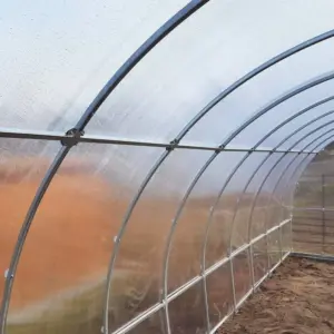 Extension for Tunnel 300 Greenhouse