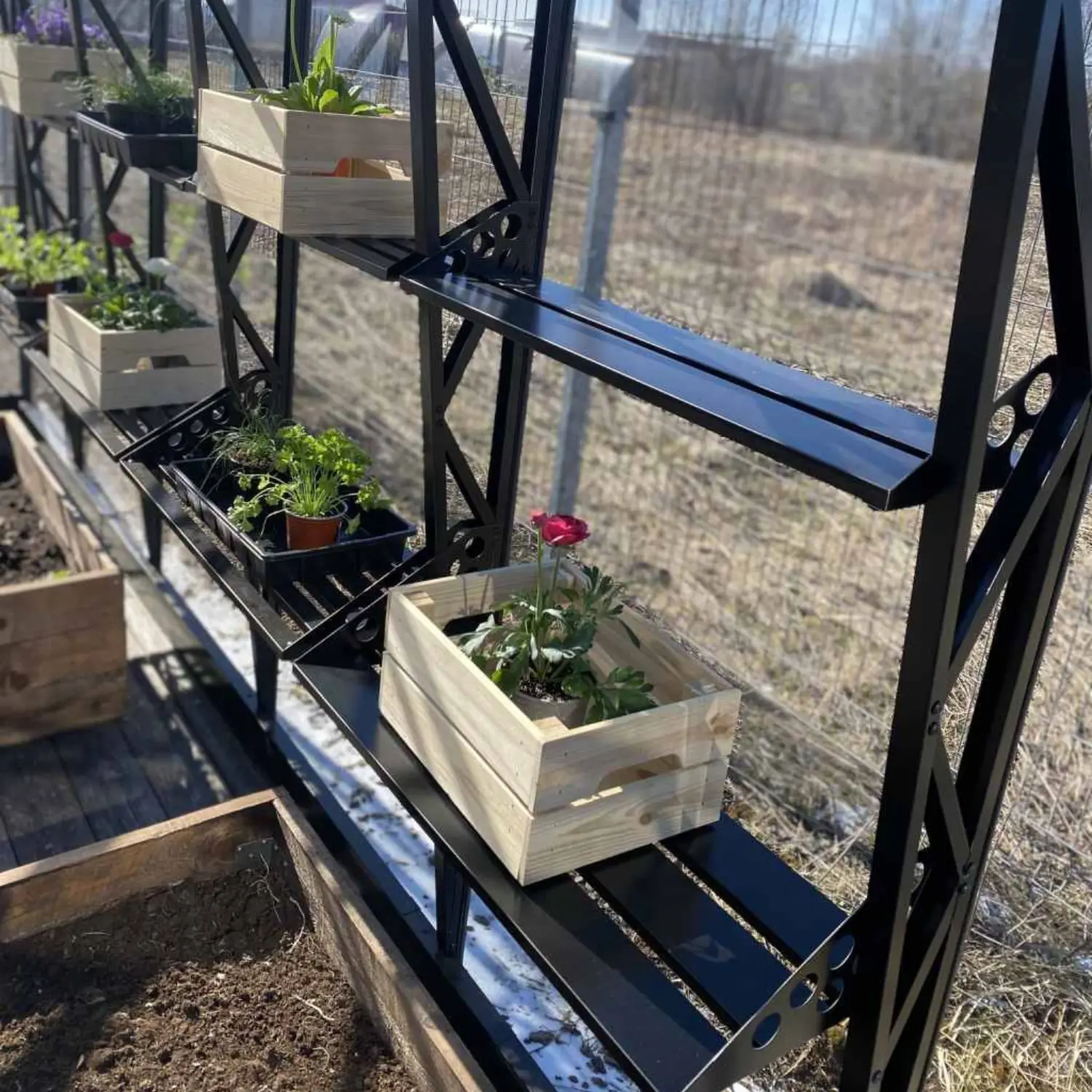 Side Shelf for Premium House Lux Greenhouse - Image 2