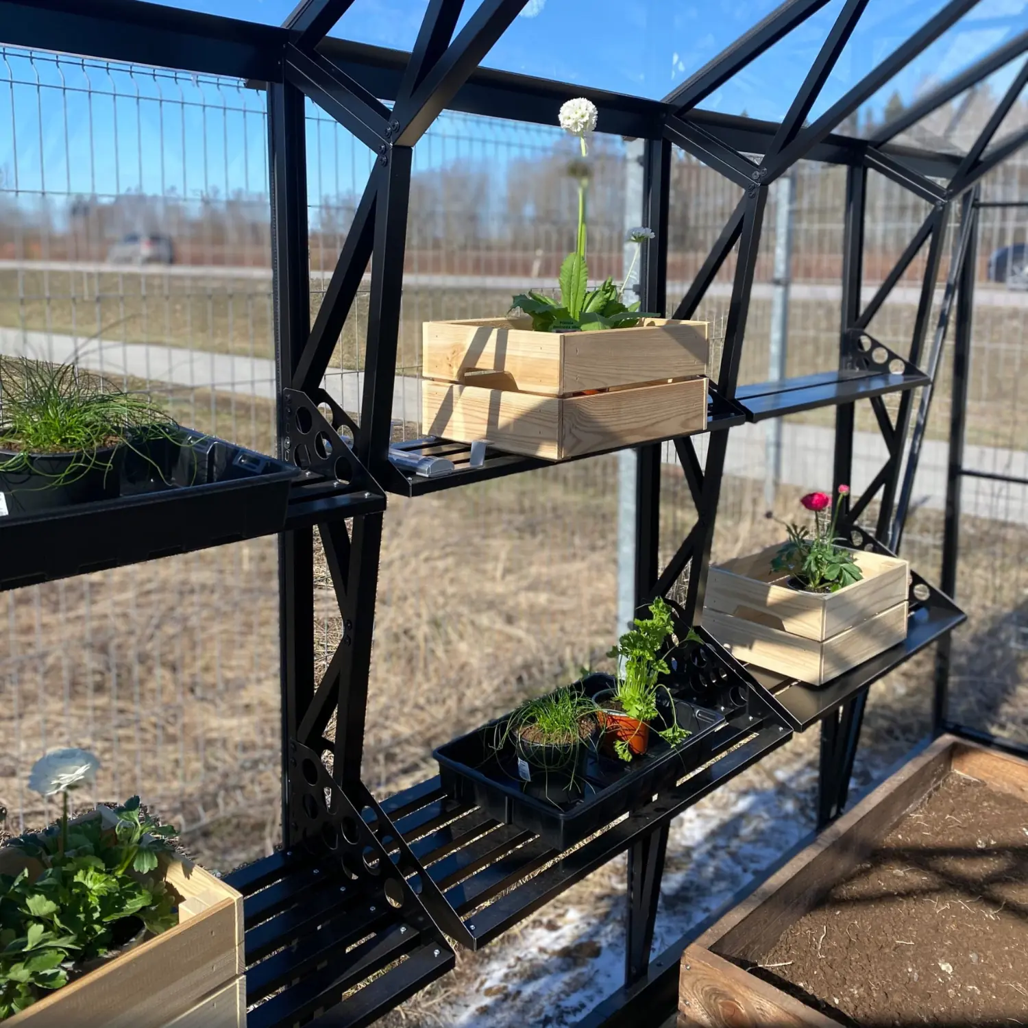 Side Shelf for Premium House Lux Greenhouse - Image 3