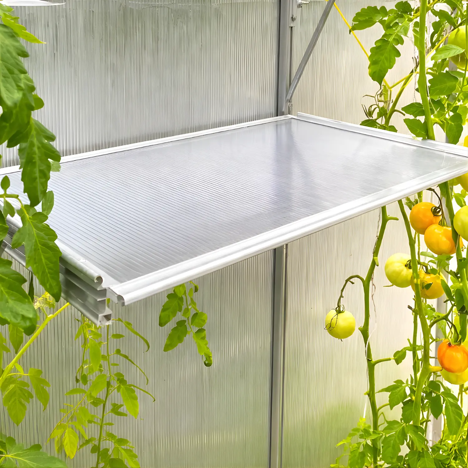 Shelf for Sanus Glass Greenhouse