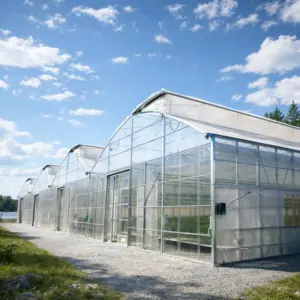 Multi-Span Greenhouse System